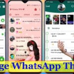 How to change WhatsApp Theme